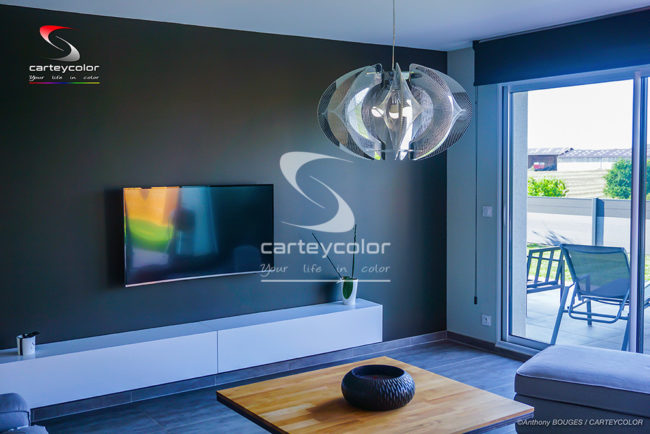 DONCOURT-LES-CONFLANS - Maison déco design moderne, salon séjour, finition haut de gamme - CARTEYCOLOR