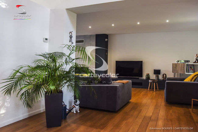 AY-SUR-MOSELLE - Maison déco design moderne, salon, peinture acrylique, parquet chêne, finition haut de gamme - CARTEYCOLOR