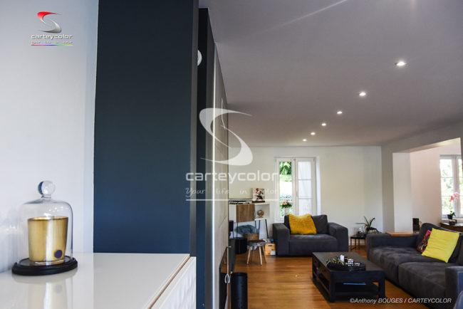 AY-SUR-MOSELLE - Maison déco design moderne, salon salle à manger, peinture acrylique, parquet chêne, finition haut de gamme - CARTEYCOLOR