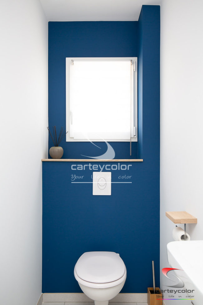 SAULNY - Maison moderne mise en peinture wc - CARTEYCOLOR