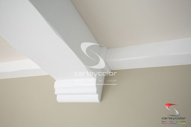 BRONVAUX - Maison moderne, mise en peinture - CARTEYCOLOR