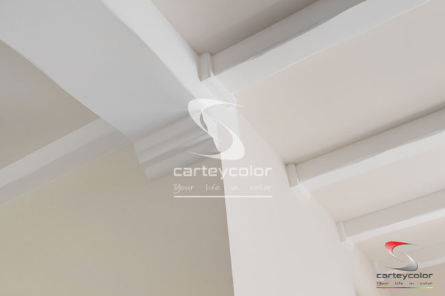 BRONVAUX - Maison moderne, mise en peinture - CARTEYCOLOR