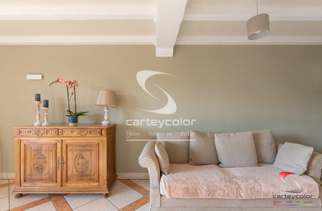 BRONVAUX - Maison moderne, mise en peinture - CARTEYCOLOR