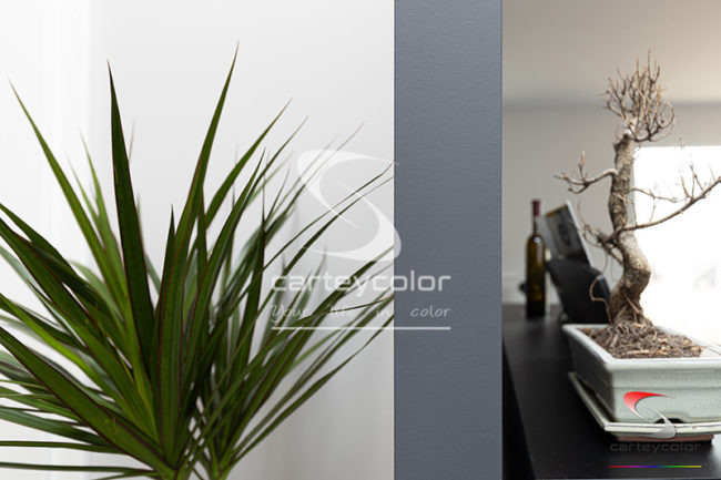 EVRANGE - Maison moderne, mise en peinture - CARTEYCOLOR