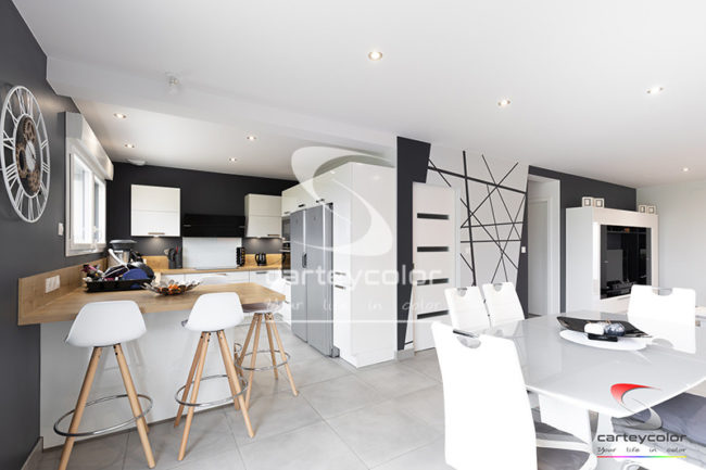 CHARLY-ORADOUR - Maison moderne mise en peinture - CARTEYCOLOR