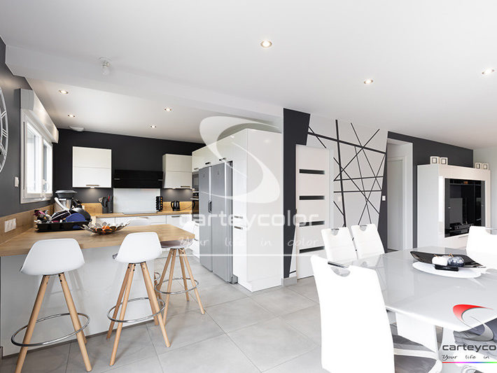 CHARLY-ORADOUR - Maison moderne mise en peinture - CARTEYCOLOR