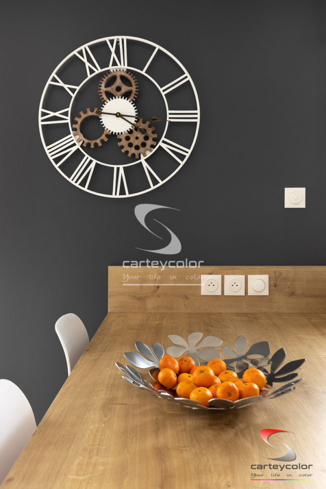 CHARLY-ORADOUR - Maison moderne mise en peinture - CARTEYCOLOR