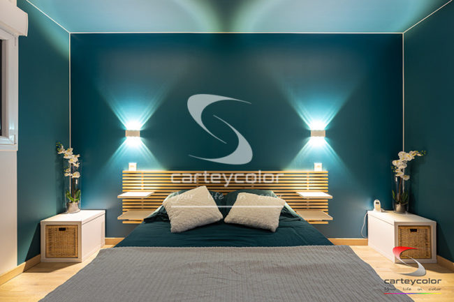 CHARLY-ORADOUR - Maison moderne mise en peinture - CARTEYCOLOR