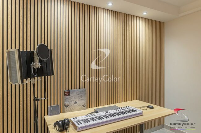 MONTIGNY-LES-METZ - Déco design moderne contemporain mise en peinture - CARTEYCOLOR